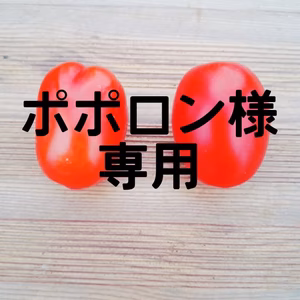 ポポロン様専用