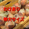 甘い！泉州玉ねぎ【わけあり】(特大サイズ)
