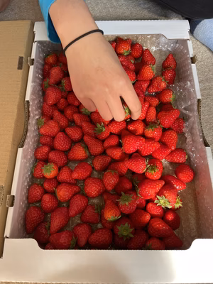 みんなの投稿の画像