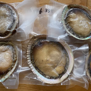 本日の１点物　アワビ　鮑　-60度急速冷凍　５枚で 1000g（傷物、訳あり品）