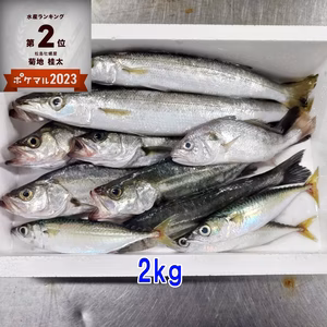 30％OFF販売中 魚セット 2k～8k 魚介セット お魚詰め合わせ 低利用魚