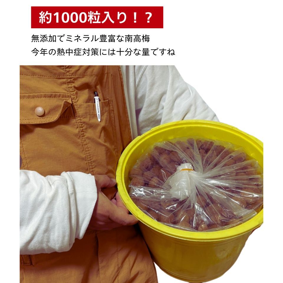月末まで最大5000円割引！無添加 紀州南高梅 和歌山 紀州 白梅｜漬物