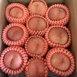 桃　あかつき　約2キロ　小玉 10玉入り　秀品