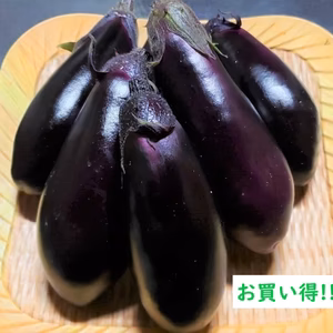 【訳アリ】南国高知で育った高知なす♪