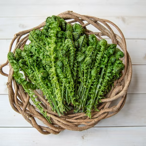 【毎年大人気です！！】たらの芽 約200g＋こごみ 約300g＋オマケ1種