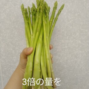 初出品記念！送料込み！お試し価格！訳ありグリーンアスパラガス1.5ｋｇ