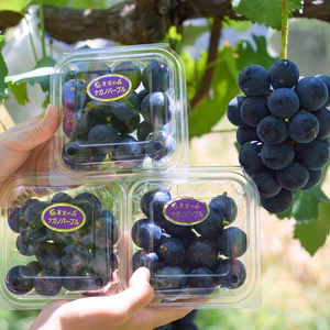 ★訳アリ★☆丸ごとナガノパープル250gパック【特別栽培農産物】