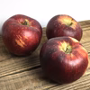 10月発送 りんご 訳あり 秋映 約5キロ 12-25玉 復興支援 