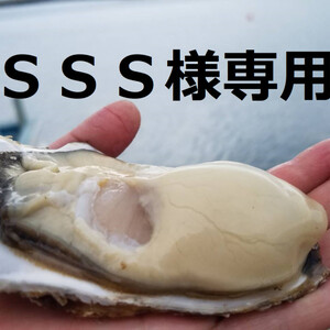 肉厚・濃厚「雪解け牡蠣」75個（大サイズ)