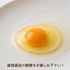 【7周年福袋】　スモールサイズの名古屋コーチン×85個