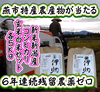 新米”新潟産コシ伊助 ６年連続連続残留農薬ゼロ 玄米･白米セット各５Ｋｇ