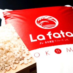 甘み抜群！もっちり食感の白銀米！　ひとめぼれ【10kg】