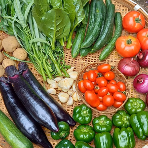 生き生き！夏野菜の詰め合わせ【5品おまかせミニセット】