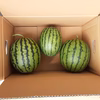 【今が旬、小玉スイカ】(3玉)糖度１０度「高野山麓和歌山紀美野産」
