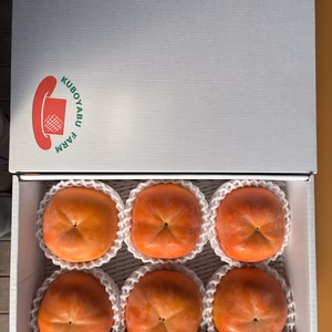 【贈答品】❹L富有柿 6個入　送料割引