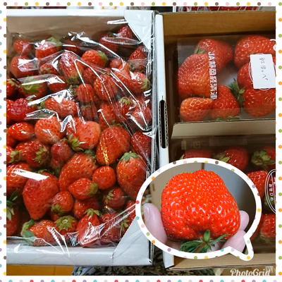 みんなの投稿の画像