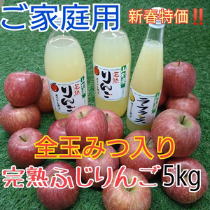 全玉みつ入り◆ご家庭用◆完熟ふじりんご約5kg＆ジュース3本セット