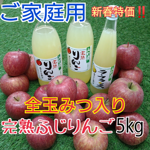 全玉みつ入り◆ご家庭用◆完熟ふじりんご約5kg＆ジュース3本セット