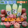 全玉みつ入り◆ご家庭用◆完熟ふじりんご約5kg＆ジュース3本セット