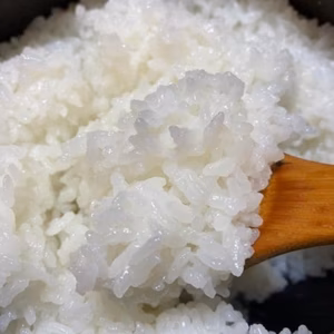うるぎ米（コシヒカリ）・＜減農薬＞特別栽培米