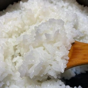 うるぎ米（コシヒカリ）・＜減農薬＞特別栽培米