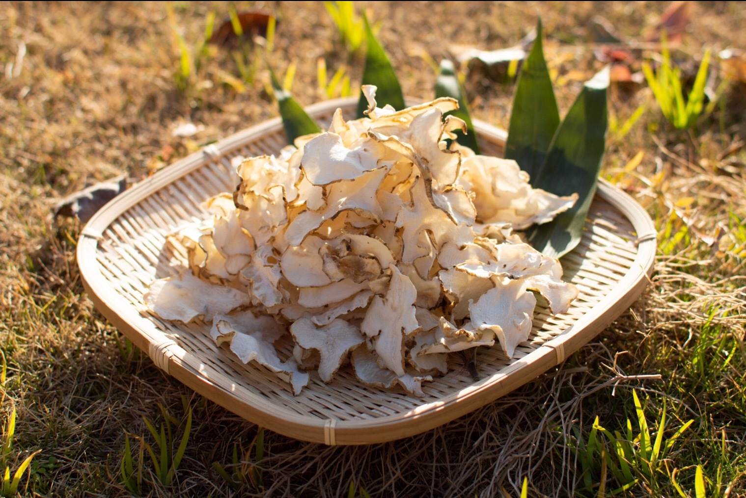 菊芋チップス180g （キクバイチップス）60g×3袋｜その他のお菓子