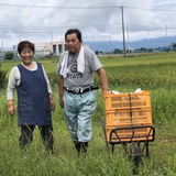 長澤幸子 | 長澤農園