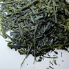 【2026年 新茶】京都・舞鶴 煎茶（50g）
