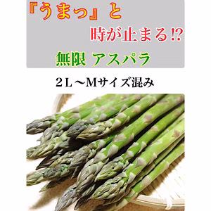 《3年越しの新品種！》グリーンアスパラ 【２L〜Mサイズ混】