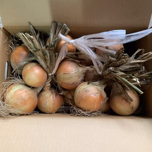 てつたろう様専用〜野菜ボックス