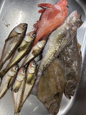 みんなの投稿の画像