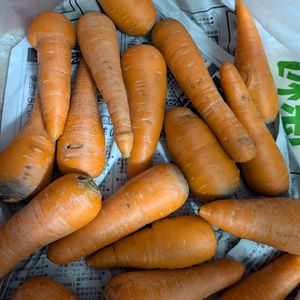 訳ありにんじん❗️大きめ、甘い八ヶ岳高原産　（農薬・化学肥料不使用）