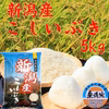 [新米]   こしいぶき５ｋｇ（無洗米）　　令和三年産