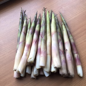 タケノコ（根曲がり竹）