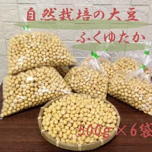 自然栽培白大豆　きなこ・お味噌つくりなどに。（500ｇ入×6袋）
