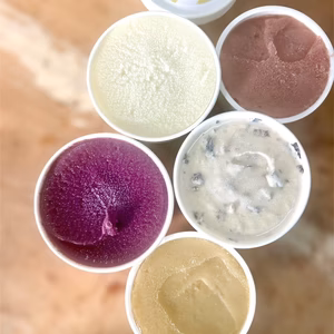 【冬ギフト】ぶどう農家のこだわりジェラート＆シャーベット　5種各3 個