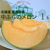 昨年大好評★富良野メロン 1玉■極甘(お中元・ギフト対応可)