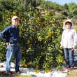 土井國照