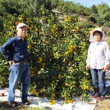 土井國照 | おやしきファーム