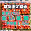 【緊急特価！】加工向け夏秋いちご「赤い妖精」【内容量約1.2kg】