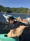 日本一の愛媛の宇和島の鯛(ハネ)