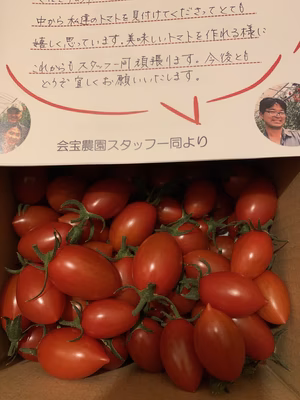 みんなの投稿の画像