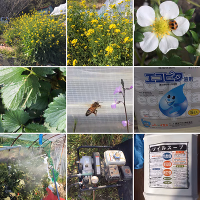 みんなの投稿の画像