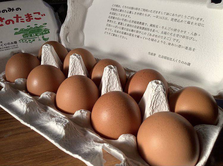 平飼い自然卵】おぶせのたまご（定期購入：月1回発送）＜常温便