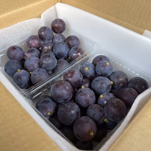 南アルプス市産　ご家庭用　甲斐キング粒売りパック詰め1kg〜