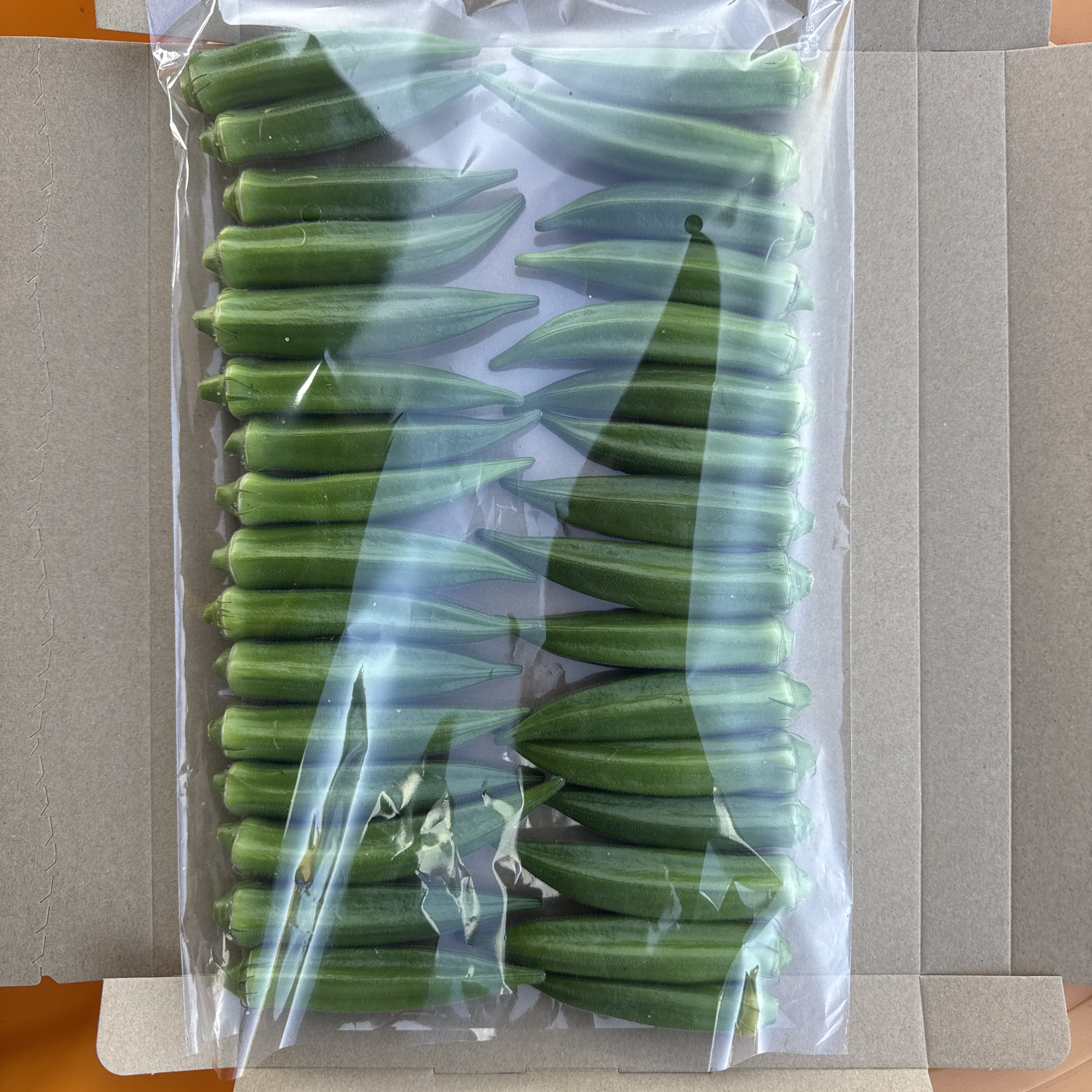 朝採り当日発送】鹿児島県指宿産 新鮮オクラ｜シャキシャキ食感｜農家