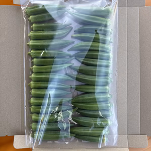 【朝採り当日発送】鹿児島県指宿産 新鮮オクラ｜シャキシャキ食感｜農家直送