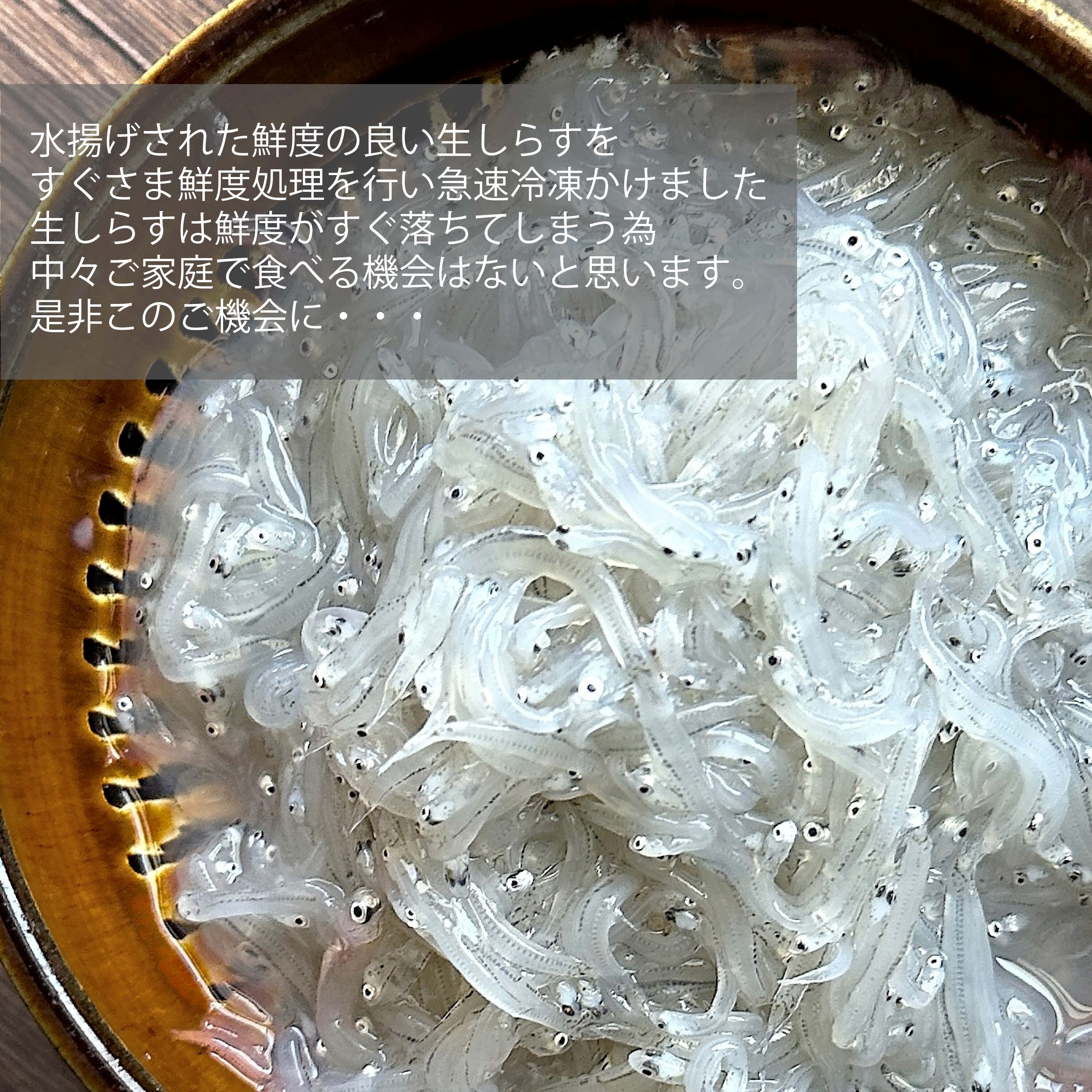 お刺身用☆生しらす(冷凍)期間限定発売｜しらす・ちりめんじゃこの商品