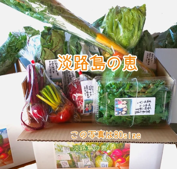 おまかせ野菜セット80size100size(常温便)