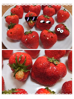 みんなの投稿の画像